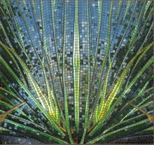 New Zealand Flax